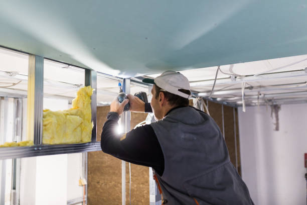 Best Insulation Maintenance and Repair in Alma, MI