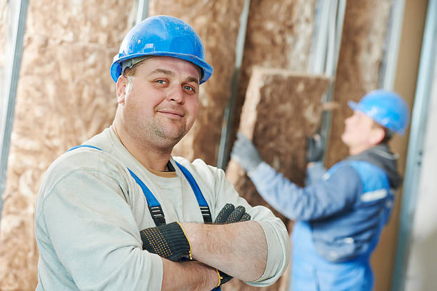 Best Residential Insulation in Alma, MI
